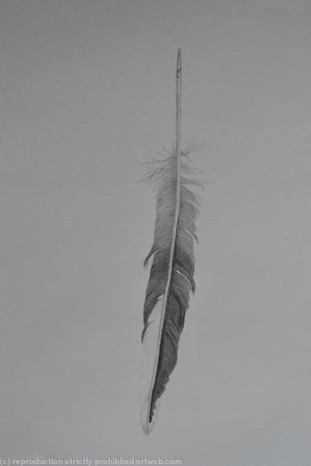feather