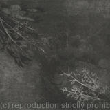 Burn, Port le\'Herbert