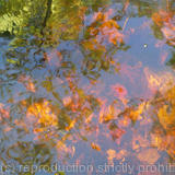 Autumn Day, Nova Scotia