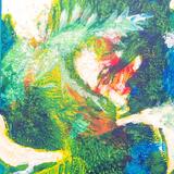 Magical Realism Part 2 - Phoenix in flight...