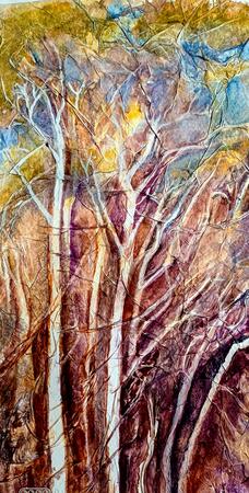 Silhouettes and shadows 