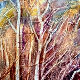 Silhouettes and shadows 