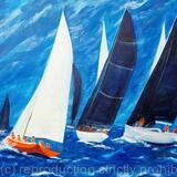 Another exciting Sydney to Hobart race