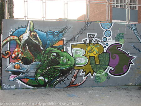 graff - what lizard are you