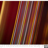 firework slow shutter