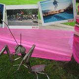 art exhibition at the st.george jam 2008