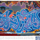 Shims - team wasted talent