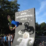 del vert wall flair 2010