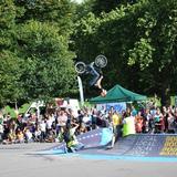 bmxflex 2010