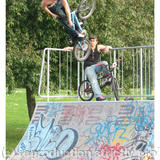 Brain boostin the quarter