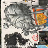 Paralell - do you need a brain that big to operate a camera