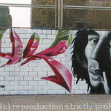 graff - the original herbsman