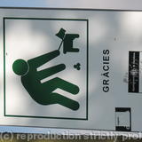 So Spanish dogs dont crap Instead the lay perfectly round balls 3 at a time Waht do they get fed