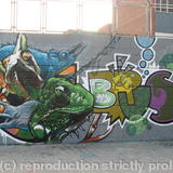 graff - what lizard are you