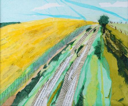 southdowns way rape field 