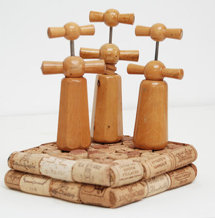 Les Demoiselle de liege