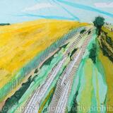 southdowns way rape field 