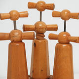 Les Demoiselle de liege 2 