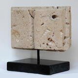 The Book of Fossils 2