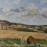 Summertime in the Tarn