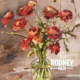 Ranunculus in Glass Vase