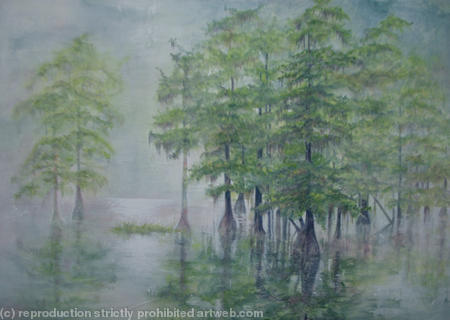 Cypress-Swamp - Sold