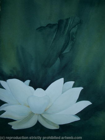 Lotus-Flower-1 - Sold