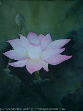 Lotus-Flower-2 - Sold