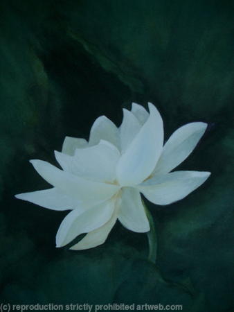 Lotus-Flower-3 - Sold