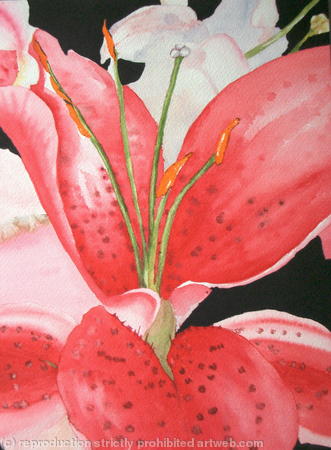 Pink Lilly Abstract - Sold