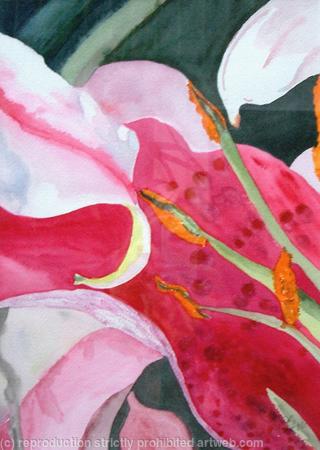 Abi's Pink Lily Abstract - Sold