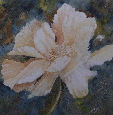 Peony - SOLD