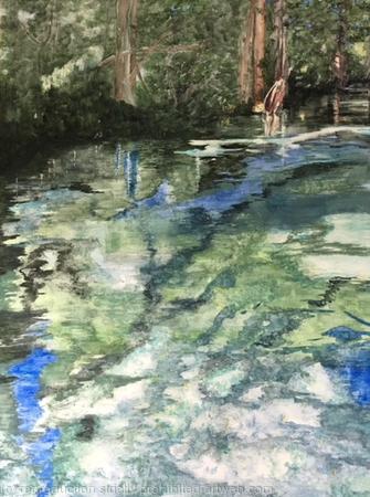 Weeki Wachee River - SOLD