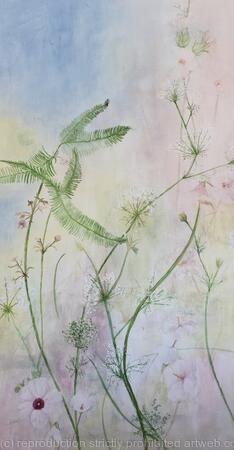 Florida Wildflowers 1 Shyleaf, Mock Bishopweed, Halberdleaf Rosemallow