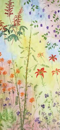 Florida Wildflowers 3 Red Buckeye, Netleaf Leather-flower, Pine Lilly, Entire Leaf Indian Paintbrush, Wild Bamboo