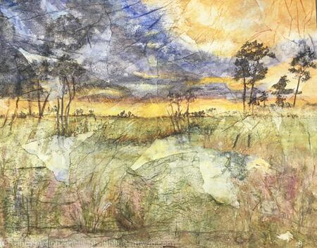 Lost in the Everglades 1 Lost -SOLD