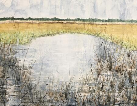 Lost in the Everglades 2 Water Reeds -Awarded - SOLD