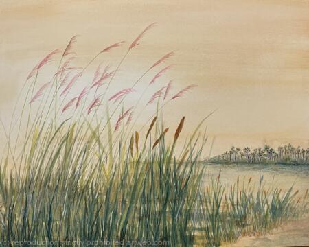 Lost in the Everglades 3 Reeds 