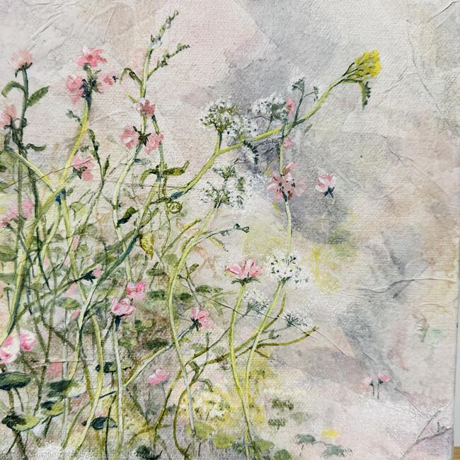 Swamp Rosemallow - SOLD