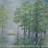 Cypress-Swamp - Sold