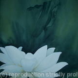 Lotus-Flower-1 - Sold