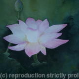 Lotus-Flower-2 - Sold
