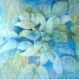 Hellebores - SOLD