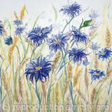 Cornflowers - SOLD