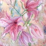 Star Lilies Abstract - Sold