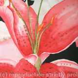 Pink Lilly Abstract - Sold