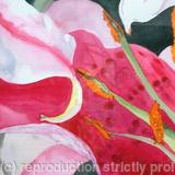 Abi's Pink Lily Abstract - Sold