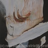 Palm Tree Markings I - SOLD