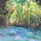 Mangrove Trees in Florida - SOLD 