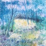 Bluebell Woods in England - SOLD